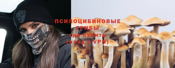 твердый Белокуриха