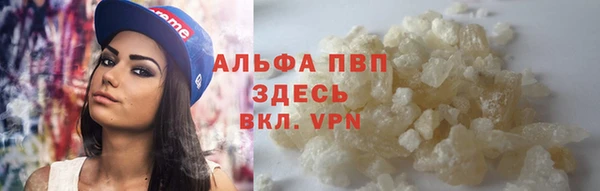 спайс Баксан