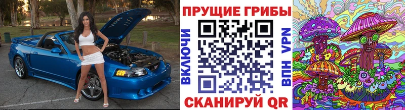 Галлюциногенные грибы Cubensis  mega онион  Ершов 